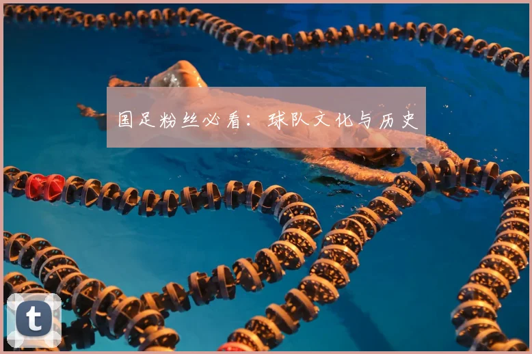 国足粉丝必看：球队文化与历史